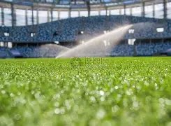 成员泰一献,声金泰梨,南柱赫新剧,神殿娱乐集团,神殿娱乐游戏,神殿娱乐集团,神殿娱乐官网,神殿娱乐